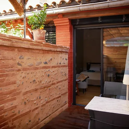 Le Du Tigre, Adresse De Charme Avec Terrasse Et Jardin Secret, Au Cœur De Toulouse